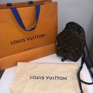 Louis Vuitton Palm Springs mini backpack